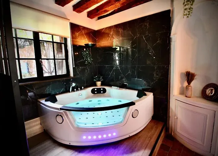 Le Gustave - Sauna, Jacuzzi & Terrasse A *